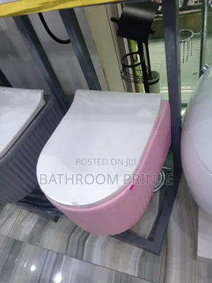 Modern Executive Pink Conceal Water Closet