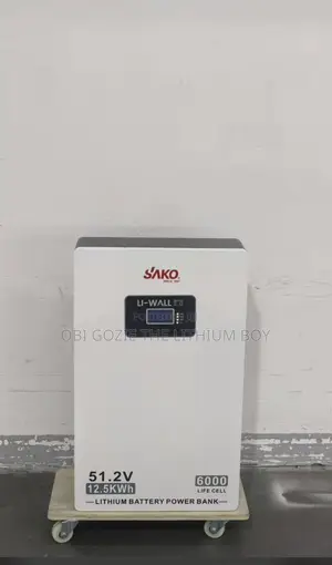 12kwh-51,2v Sako Solar Lithium Battery Best Importer and Distributor
