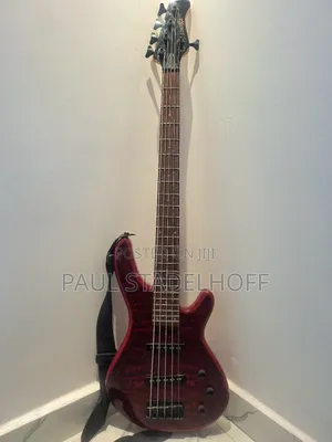Bass Guiter