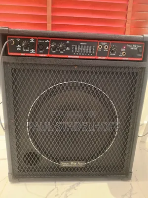 Bass Speaker