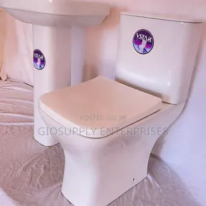 Vstar Water Closet and Basin Set