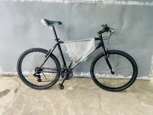 Rock Rider Sport Bicycle