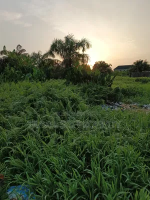 Gazette Survey Ibeju Lekki Distress Sale