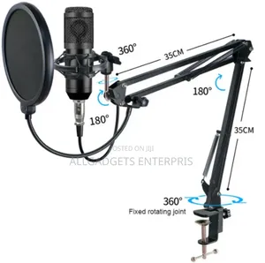 Professional Condenser Microphone