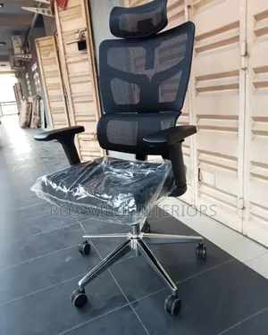 Executive Ergonomic Swivel Orthopedic Office Chair – Sit Smart