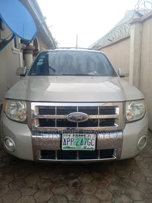 Ford Escape 2010 Beige