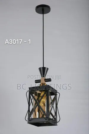 Single Iron Dropping Pendant Light