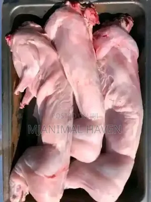 Meat Rabbit and Rabbit Meat