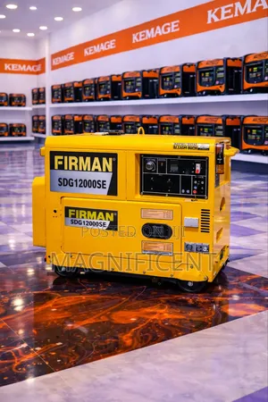 Firman 10kva Soundproof Generator (Sdg12000se) – Heavy Duty Power 