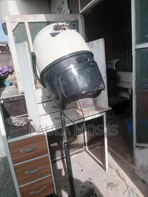 Standing Hair Dryer