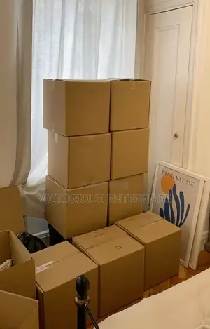 Big Size Moving Carton for Packing Into Your New House