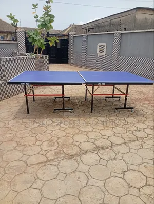 Indoor Table Tennis Board