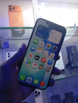 New Apple iPhone 12 Pro Max 256 GB Gray