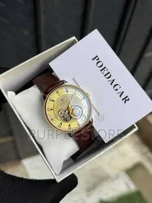 Poedagar Chronograph Automatic Mechanical Movement *Leather* Watch