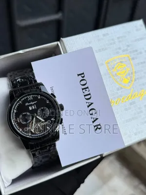 Poedagar Automatic Movement Functional Chronograph "Steel" -Watches