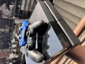 Low Version Playstation 4 Standard