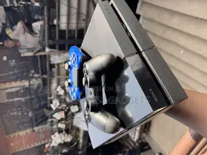 Lower Version Playstation 4 Standard