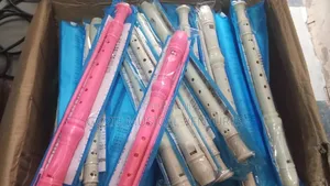 Original Premier Recorder With Different Colours.