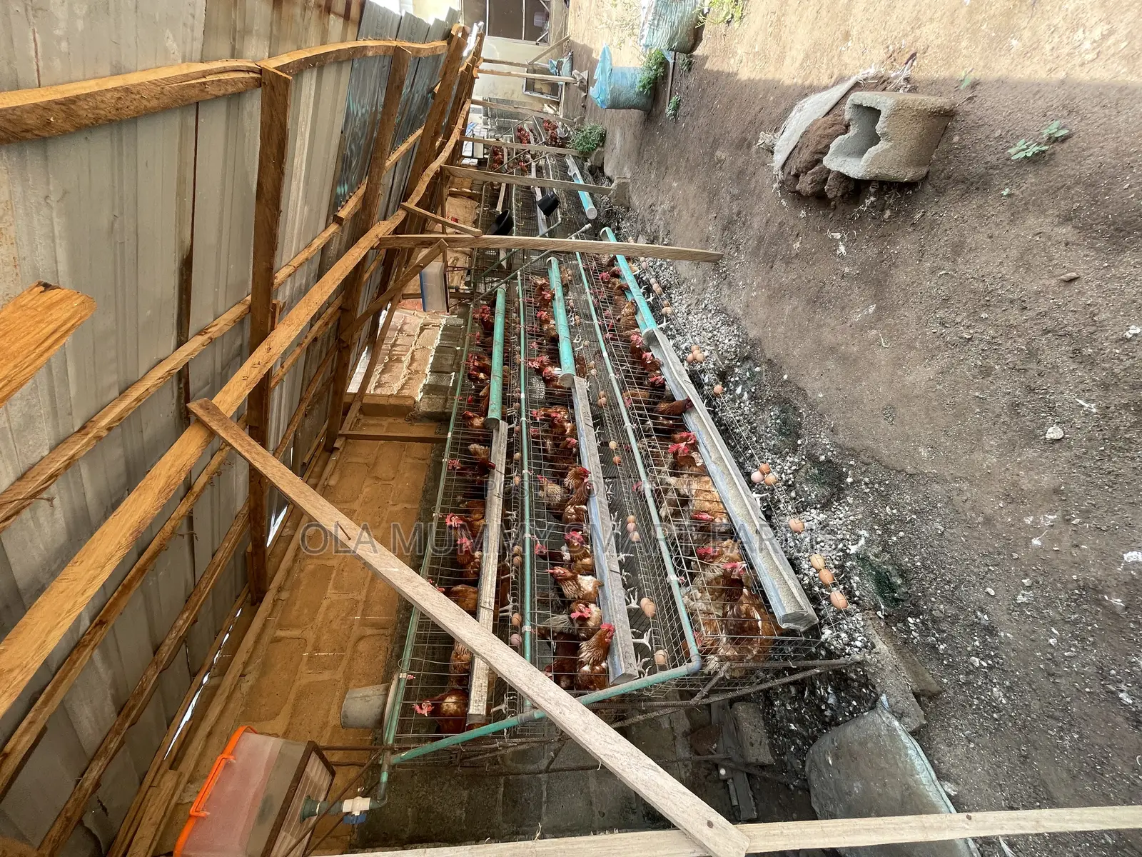 Battery Cage