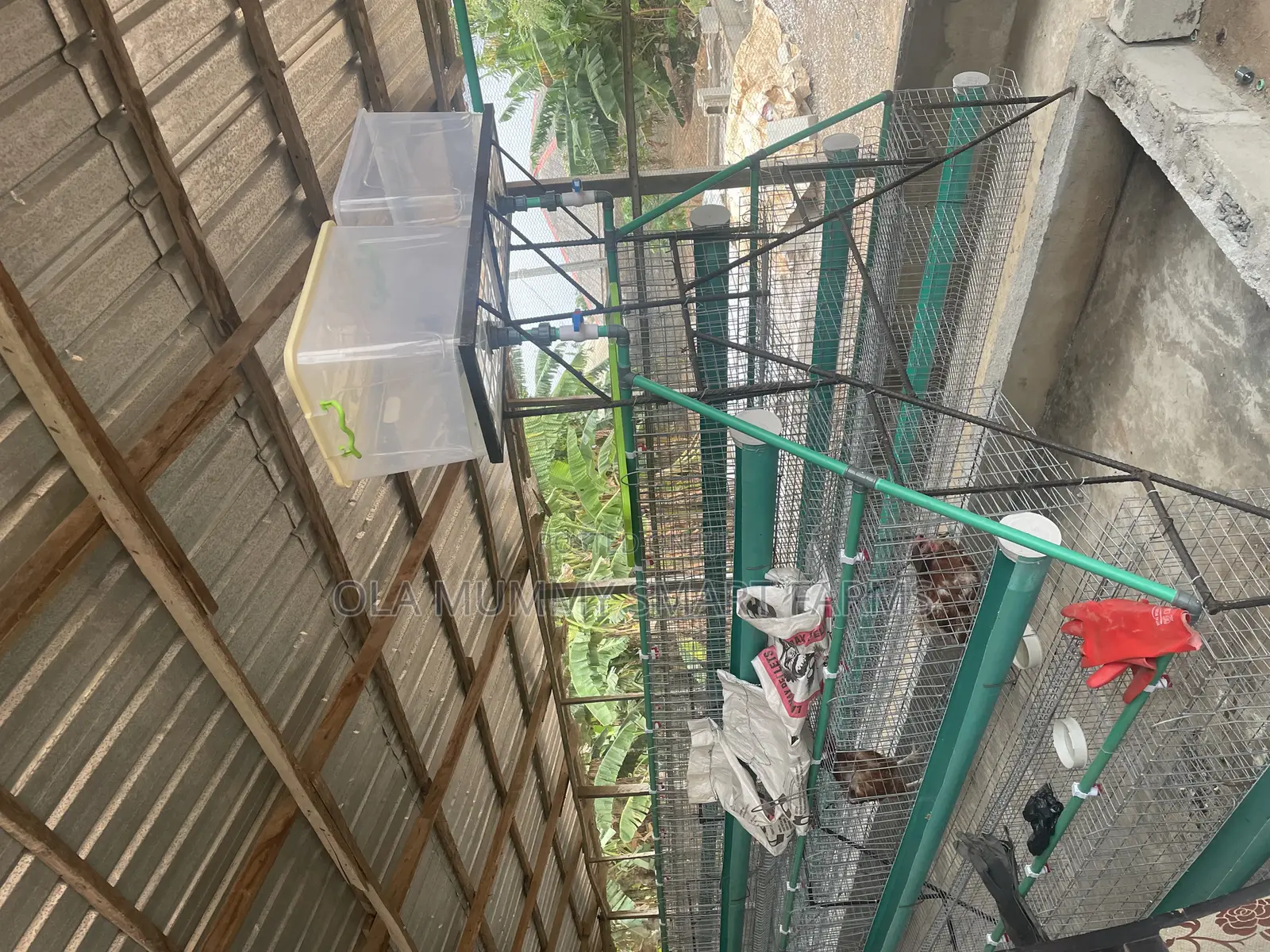 Battery Cage