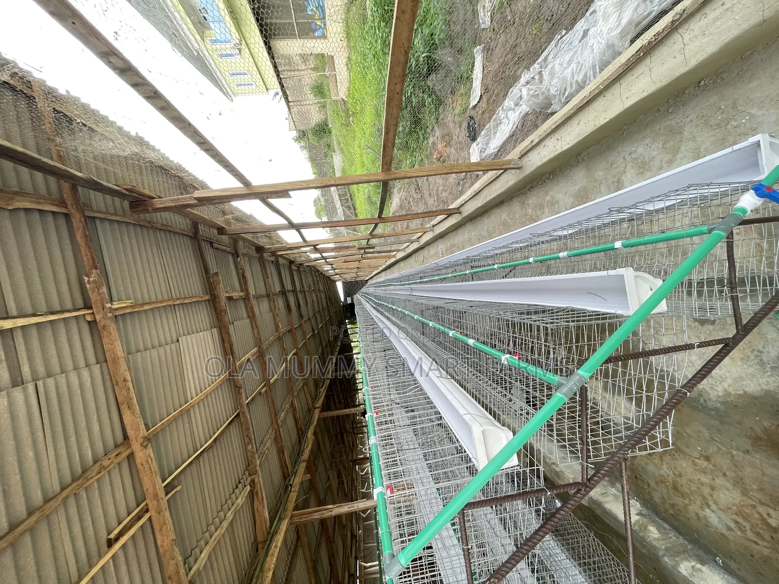 Battery Cage
