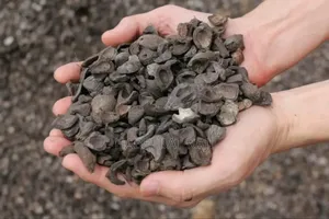 Palm Kernel Shell