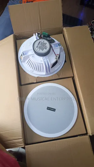 2in1 Bluetooth Ceiling Speaker