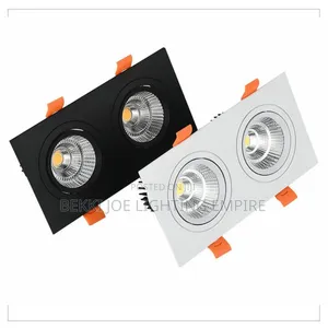 Two Eyes Recess Light for Ceiling