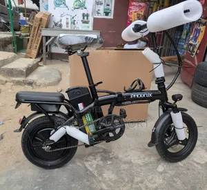 Electric Bike