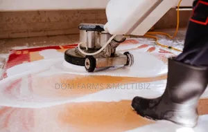 Affordable Rug Cleaning