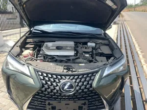 Lexus UX 250h 2020 Green