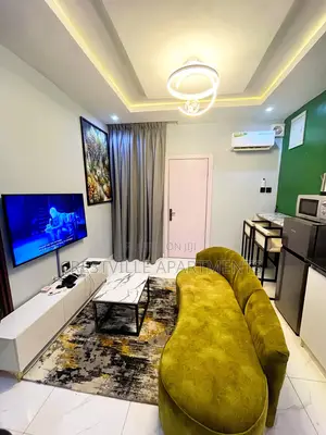 Very Beautiful One Bedroom Apartment in Surulere
