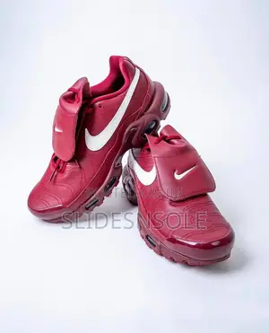 Nike Air Max Plus Tiempo