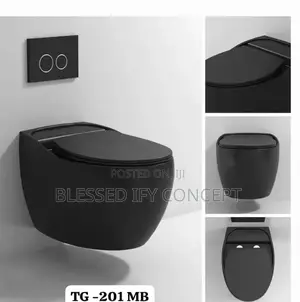 Wall Hung Water Closet Black Color