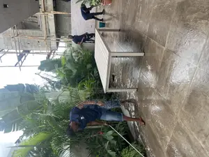Dip Cleaning Service