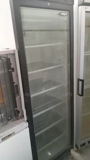 Glass Freezer Standing Freezer