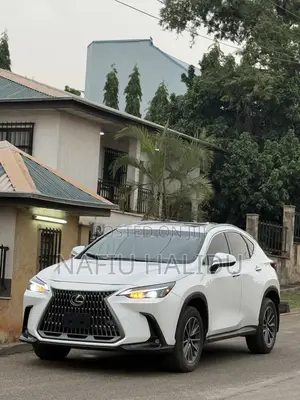 Lexus NX 2023 White
