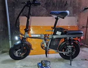Foldable Electric Bike