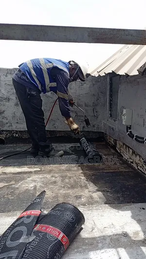 Entreat Roof Waterproofing Expert