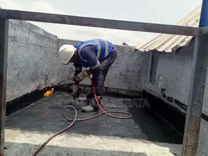 Caprice Roof Waterproofing Professional