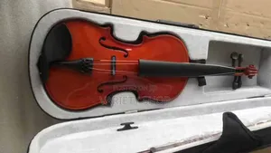 4/4 Violin Complete Set