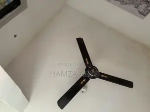 Fans for Sale Hot Sale