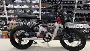 Brand New Massimo Electric Bike