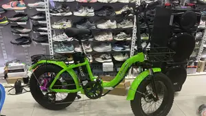 Brand New Electric Bike