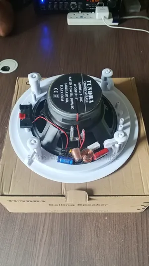 Passive Ceiling Speaker