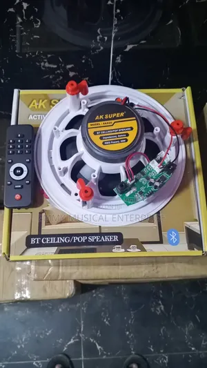Single Bluetooth Frameless Ceiling Speaker