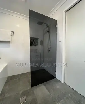 Frameless Shower Glass