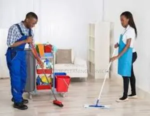 Professional Office and Home Cleaning Services