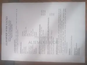 Curriculum Vitae Aliemeke Jude Lucky