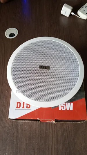 Passive Ceiling Speaker